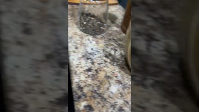 Первая часть готовим гренки