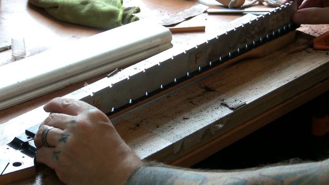 567ee6ee24811d4446f8239d63879510