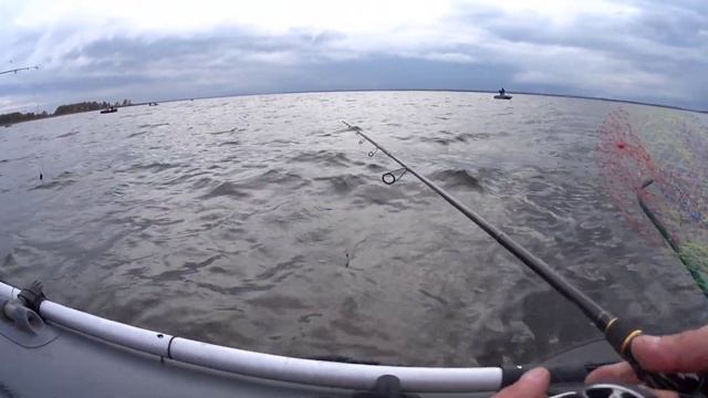 Рыбалка в Сентябре #Рыбинка #Осень