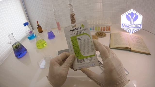 Лук батун Тотем. АгроЭлита