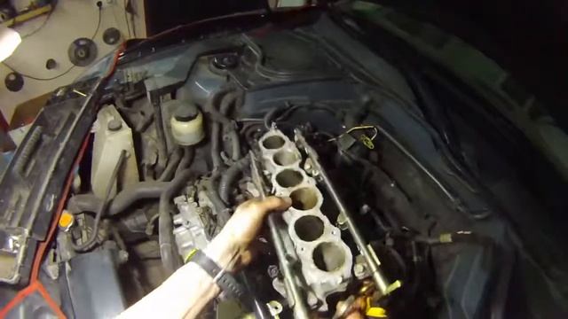 Домик солнечных лучей и уюта в природе