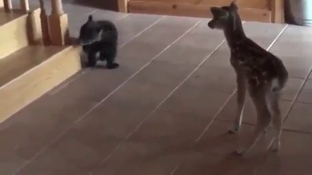 E1a036122ade0a608d95d6402a15630b