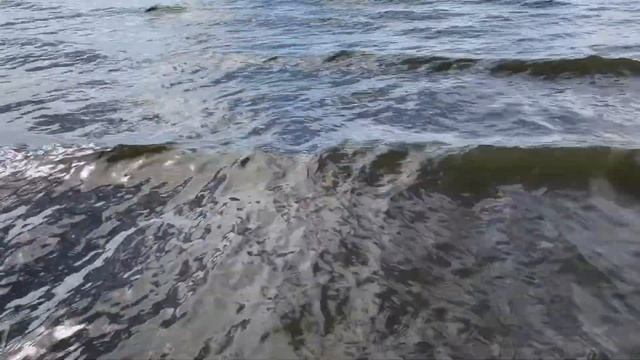 1Отдых с палатками на Красноярском море песчаные пляжи свежий воздух наши коты с нами Зак Сти