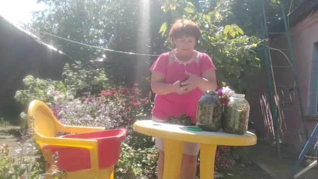 054182f5d2de642f9f5f9ddb4a75d466