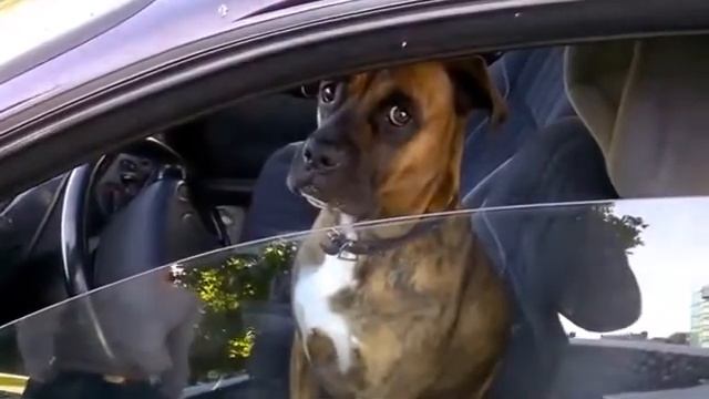 121f196f654c6ae450202805824d7fe7