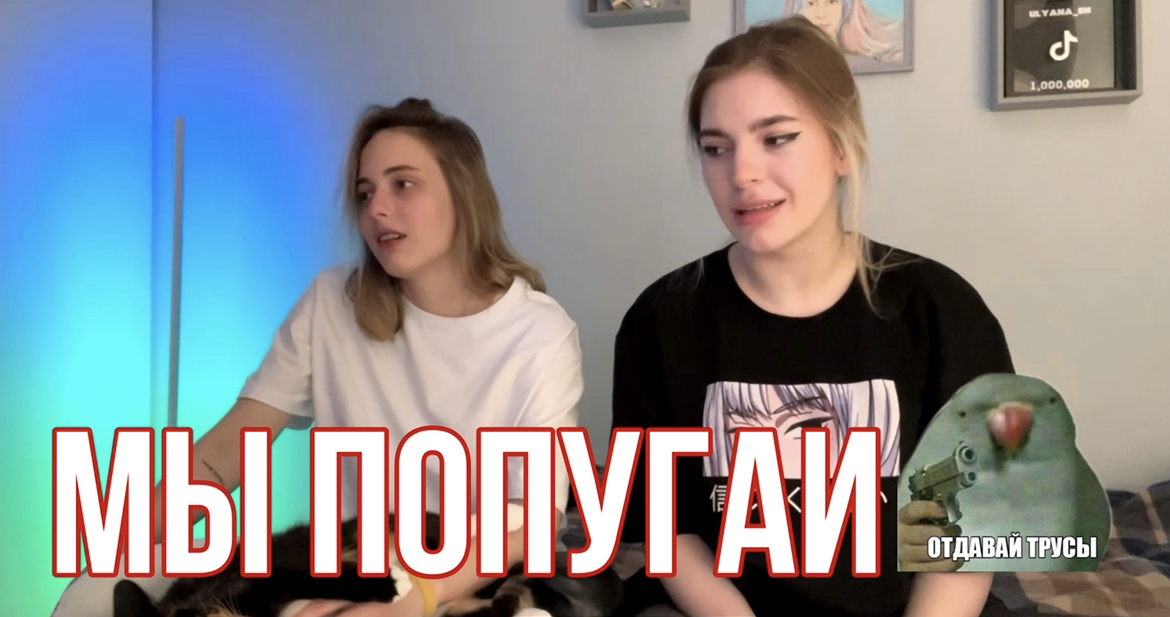 КАКОЕ ТЫ ЖИВОТНОЕ СЕГОДНЯ