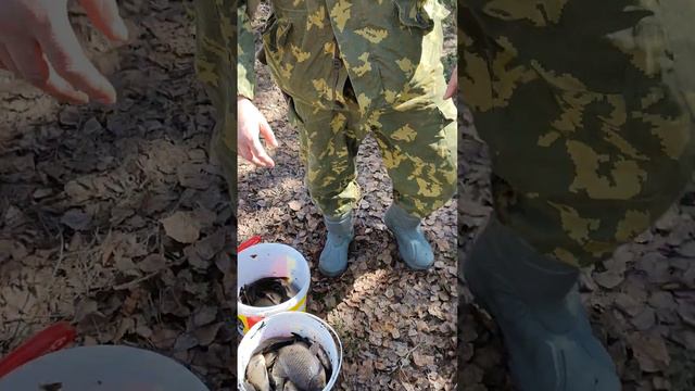 Рыбалка 07 04 2023