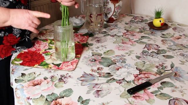 Завяли Розы как оживить