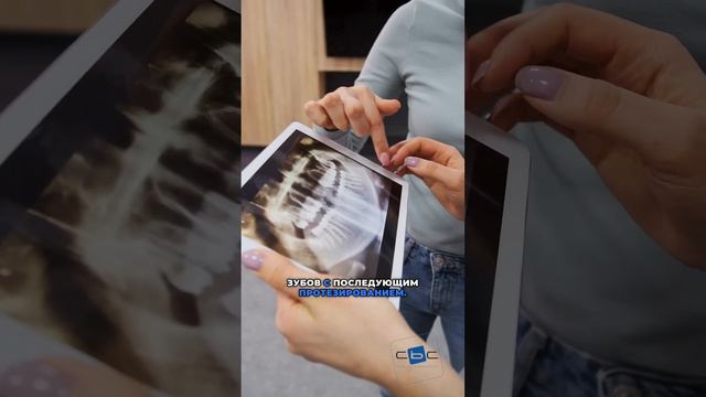 Каменков Дмитрий Владимирович врач-стоматолог-ортопед медицинского центра 