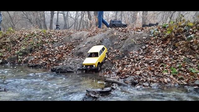 RC модель NIVA 3D
