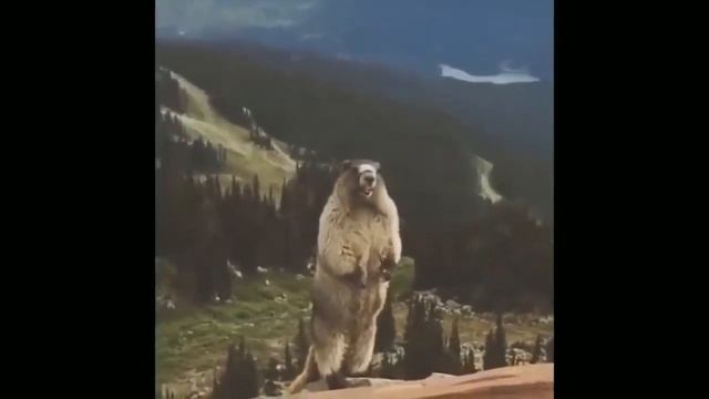 D9ca4d03f7623536b7d8e3ae919fa740