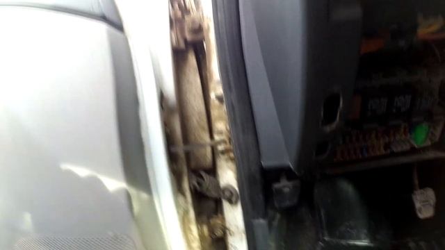 Уборка с умением и талантом