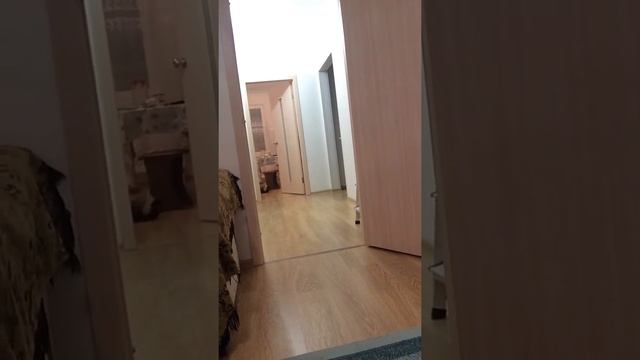 Научил кота приносит свою игрушку)