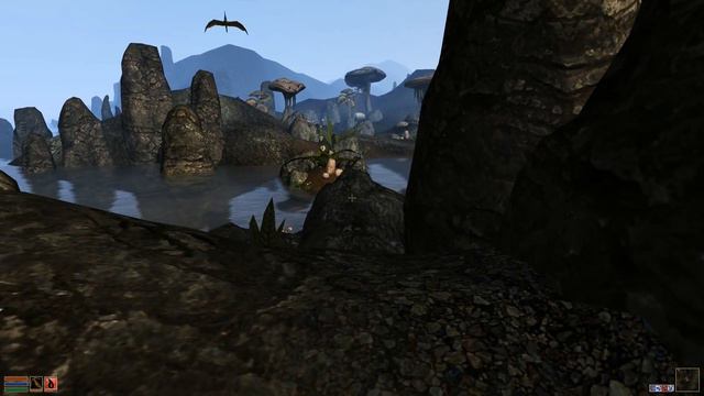 The Elder Scrolls Morrowind With Hjallecalibur #8