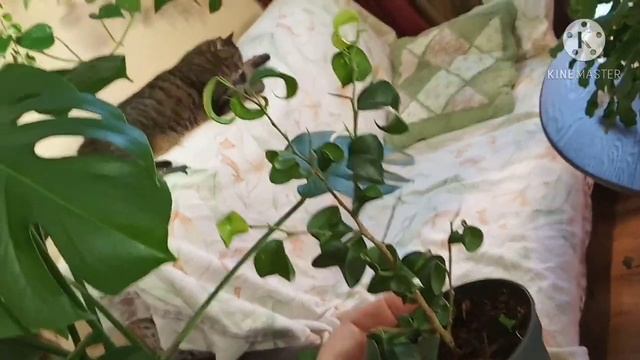 095b776687111419ec9610c13bbec3a1