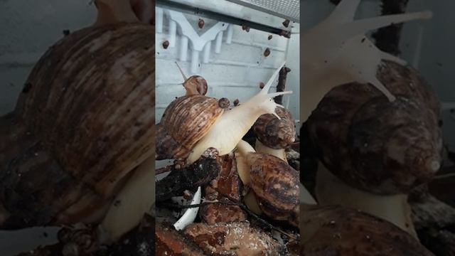 64916c0f9647d4444b1fb1328006d53f