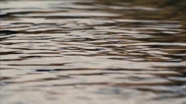 Иоанн бичиген сӱӱнчилӱ јар 1 бажалык | Евангелие от Иоанна на алтайском языке 1 глава