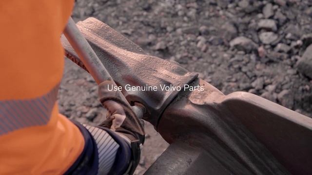 The Cuddle - Genuine Volvo Parts