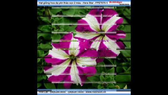 7a7d3ea4f4108749c4d70931526085d1