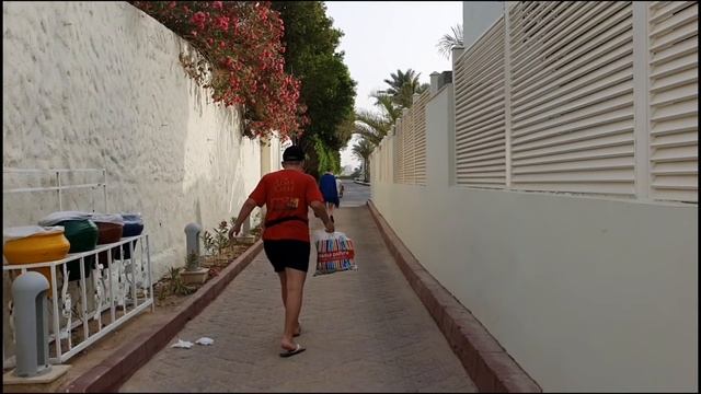 Последний день в отеле PICKALBATROS JUNGLE AQUA PARK // Приключения по дороге домой!