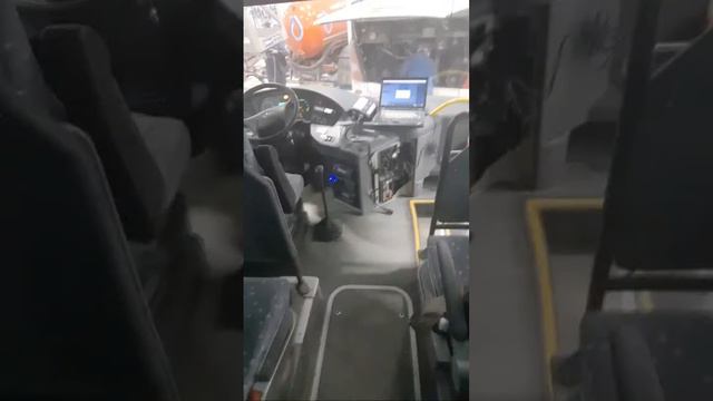 Машины в страсти