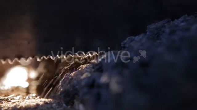 Burning Match And Flame With Alpha Channel - (nature) Stock Footage | Mega Pack +40 Items