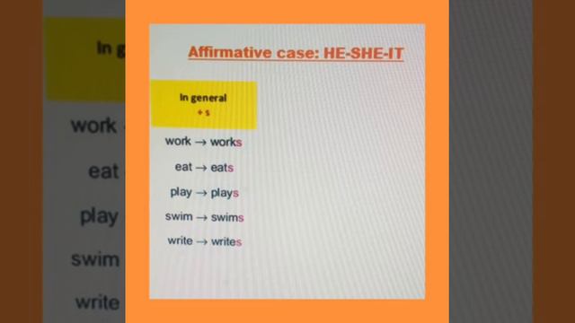 Present Simple Affirmative/negative Case
