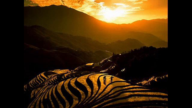 E54fc8f1cdfc51f0bb224beaa97ca14a