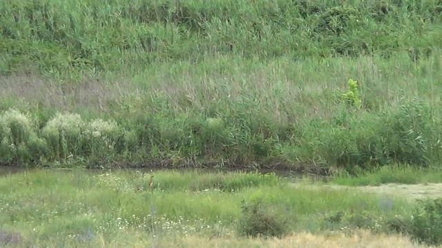 Кундрючка 1