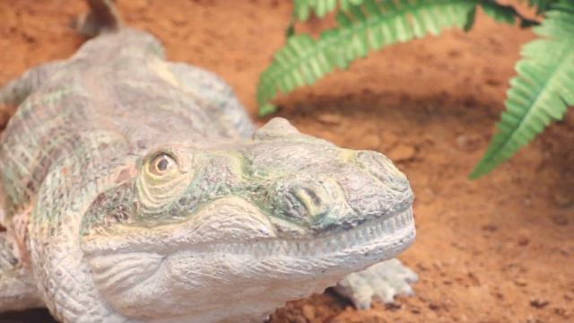 31889467473a901c7bf56bdc834a4b90