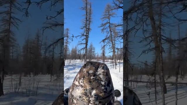 Видео со снегохода на плато путорана