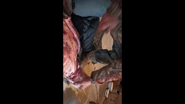 СНЯТИЕ ШКУРЫ С БОБРА, ПРОВЕРЯЕМ НОЖ