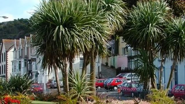 E12a9f4643c03d1c47d3da9c9053828f