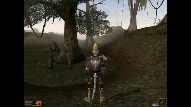 Morrowind Mage With The Rule Of Don #5 Richard Nixon's Hounds And He-Man