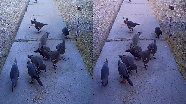 40f718d6d047c92af59ffc36530bafd1