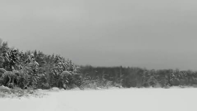 Берег  Мазуринского озера