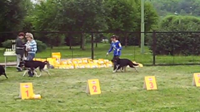 C55516aa20f2be5ff7e50cfe4934a361