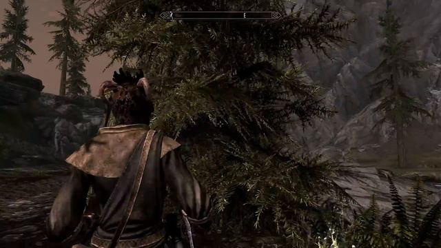 Skyrim - Riverwood Bird Tree
