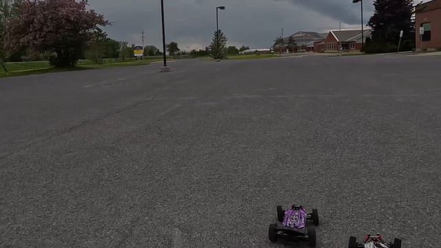 RLAARLO Vs WLTOYS! Brushless Vs Brushed 1/14 4WD Buggy - Netcruzer RC