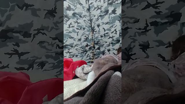 15a1208d70f4634d8f1c60374eab357f