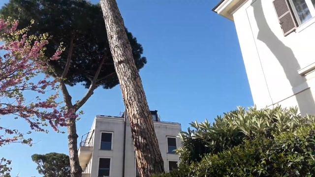 Гармонии Забвения