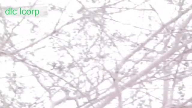 Fashion близняшки Соня и Броня блондинки которые покажут вам всё...