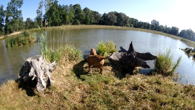 Arísek, Alma A Mia 15.září 2020