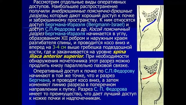 Лекция. Клиническая анатомия области поясницы и забрюшинного пространства.