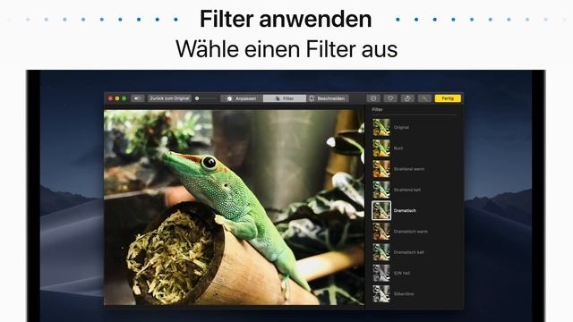 So Bearbeitest Du Fotos Auf Deinem Mac