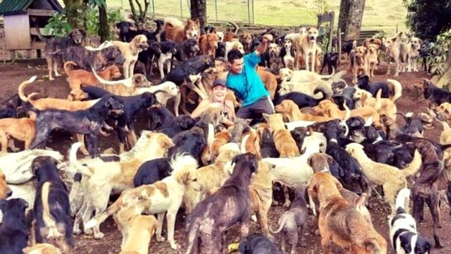 Эта семейная пара спасла 1000 собак, которых хозяева отдали на усыпление