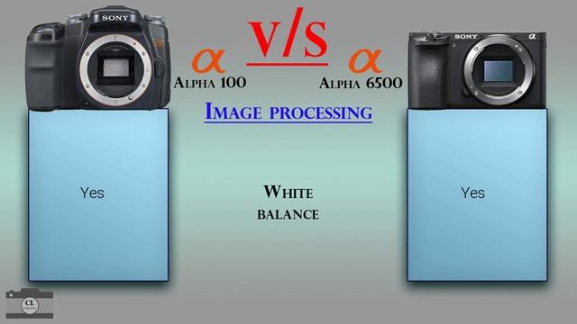 Sony Alpha 100 Vs Sony Alpha 6500