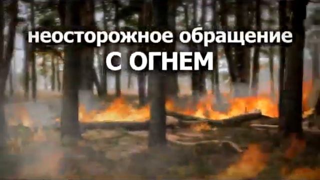 Берегите лес от пожара