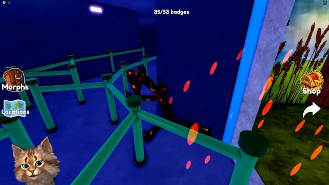 НАШЕЛ НОВЫХ РАДУЖНЫХ ДРУЗЕЙ в ROBLOX Find The Rainbow Friends Morphs Весёлый Кот