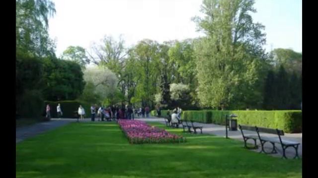 F  Chopin, Nocturne For Violin And Piano